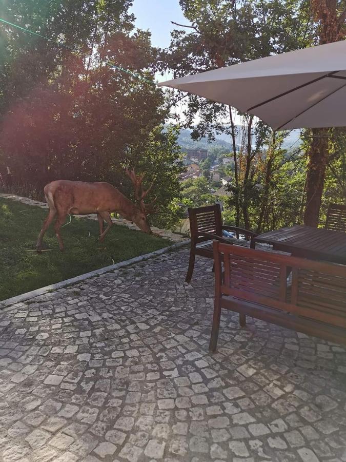 Casa Vacanze Al Castello Виллетта-Барреа Экстерьер фото